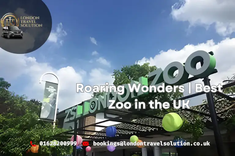 Roaring Wonders  Best Zoo in the UK  London Travel Solution